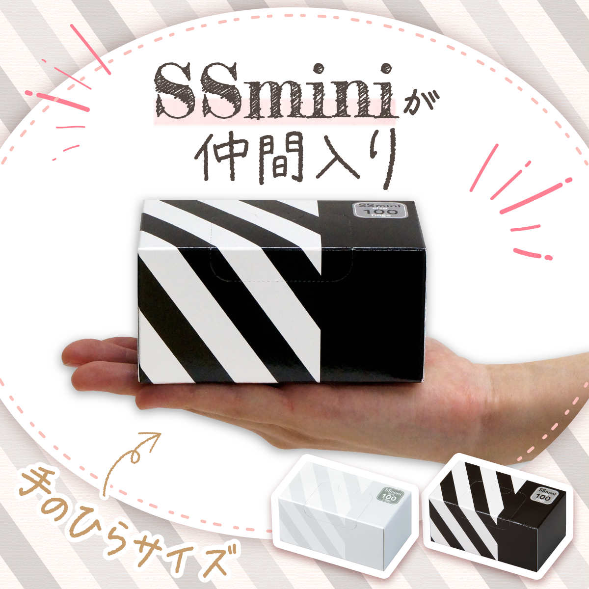 SSmini-3_1-2-2_1-1.png